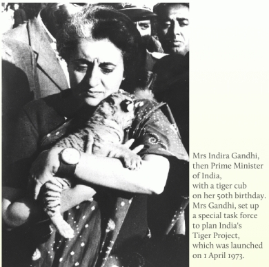 1973 India starts Project Tiger - a campaign to save the tiger from extinction.